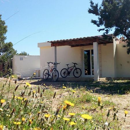 La Casita Yolanda, Ideal Parejas - Formentera Natural San Ferrán de ses Roques Ngoại thất bức ảnh